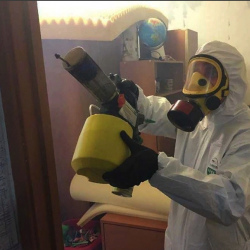 Уничтожение клопов в квартире. Чердынь